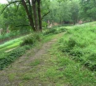 Kollmannspark