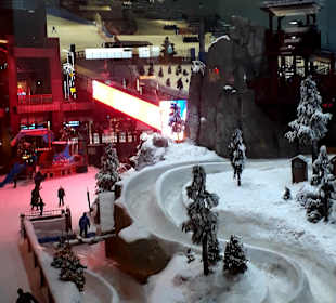 Ski-Dubai 