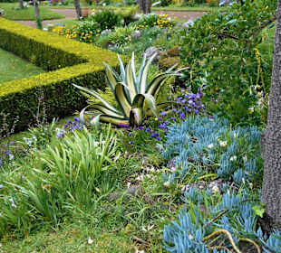Palheiro Gardens
