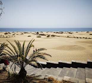 Dünen von Maspalomas