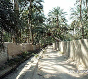 Al Qabil
