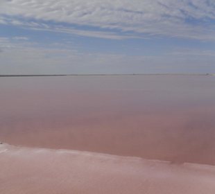 Rosa Salzsee!