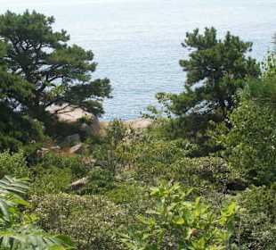 Acadia Nationalpark bei Bar Harbor