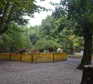 Zoo