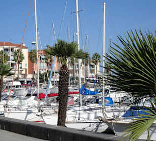 Eindrücke vom Rundgang durch Port Argelès