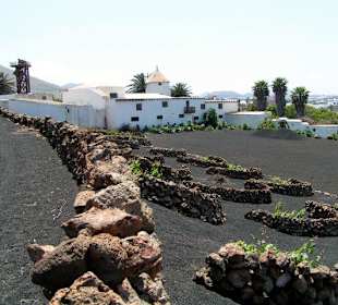 Lanzarote - Jardín de Cactus