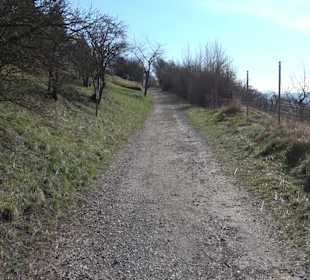 Hirschauer Spitzbergwegle (Premiumspazierwanderweg