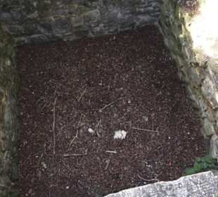 Burgruine Hohenstaufen