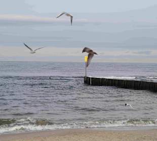 Strand Kolberg/Kolobrzeg