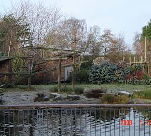 Zoo in Dublin
