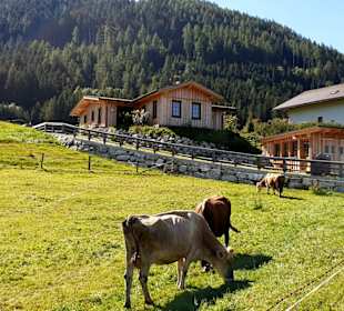 Vorbei an Häusern und Wiesen