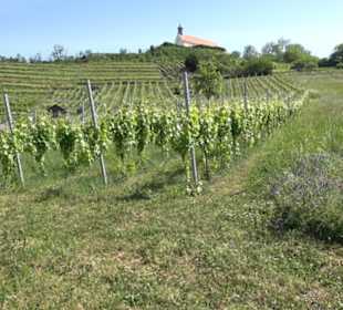 Früchtetrauf - Wurmlinger Kapellenwegle
