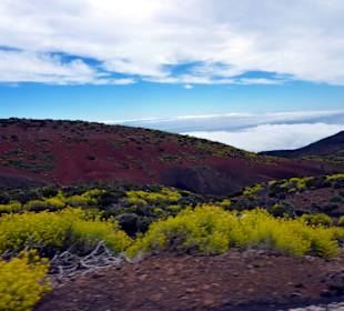 Teide