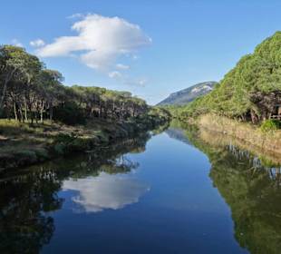 Der Flussarm, der den Strand separiert