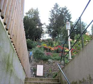 Kleiner Klostergarten