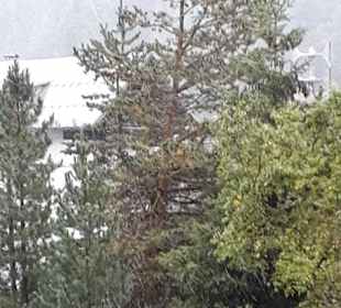 September 2020 Wintereinbruch
