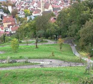Philosophenweg