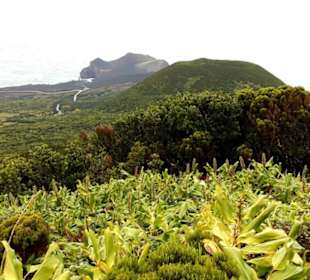 Inselrundfahrt Faial