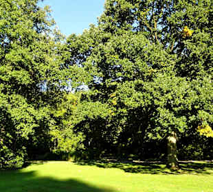 Spaziergang durch Knoops Park