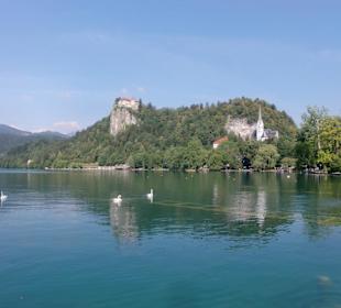 See von Bled