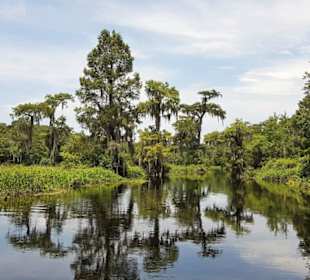 Herrliche Eindrücke