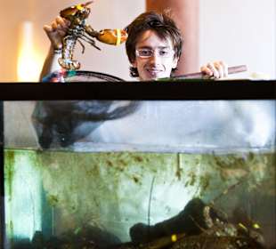 Ristorante Soleiado Rimini ristorante restaurant