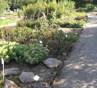 Botanischer Garten München