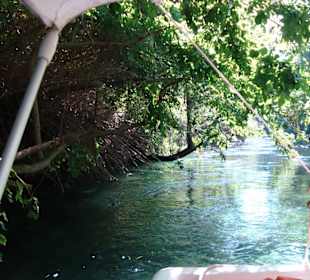 Tour durch den Turtel River