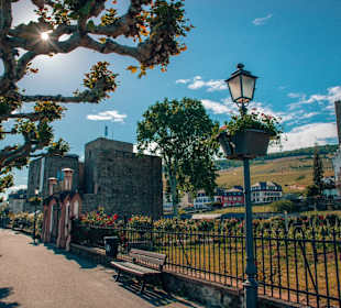 Wandern Rüdesheim am Rhein