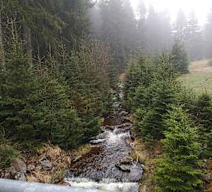 Wandern Altenberg
