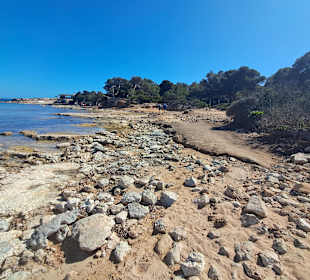 Ses Covetes in Sa Rapita