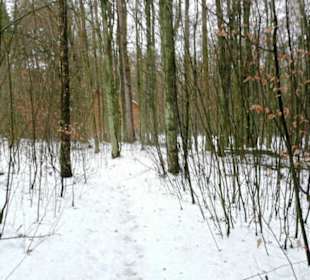 Mitte Dezember 2010 zu Gast