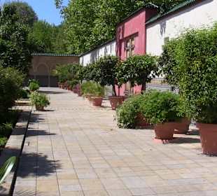 Orientalischer Garten