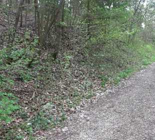 Wanderung rund um das Rusenschloss Gerhausen