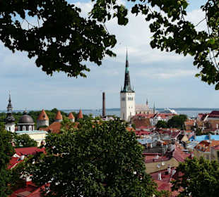 Ausblick auf Altstadt