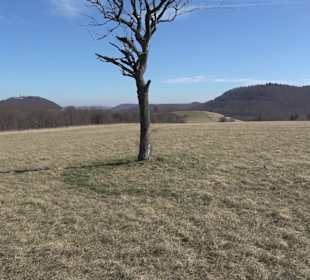 Wanderroute Drei Berge Tour Willmandingen