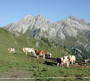 Europas naturbelassenstes Tal