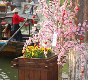 Blumen und Blüten am Kanal