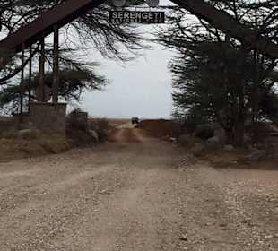 Einfahrt Serengeti