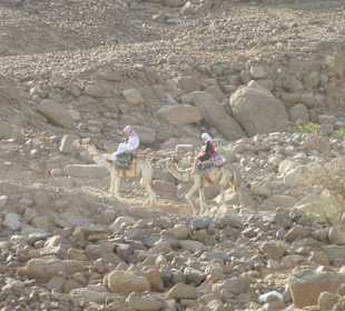 Beduinen - Blue Hole