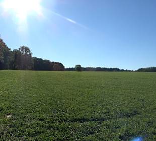 Burgruine Andeck Talheim