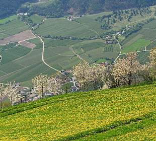 Ausblick von der Texelbahn