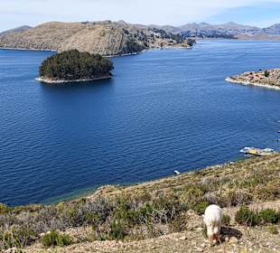 Wandern Isla del Sol