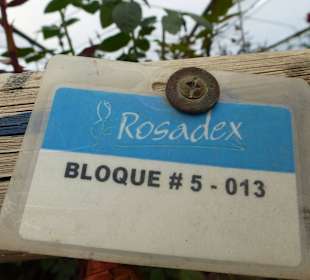 Alles genau eingeteilt