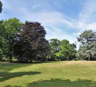 Rundgang durch den Hofgarten Düsseldorf