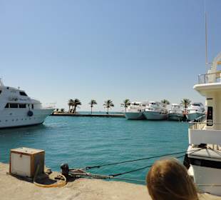 Ausflug zu der Insel Orange Bay