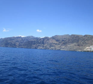 Los Gigantes