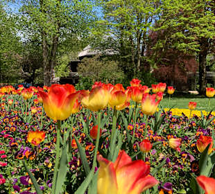 Wandern Bad Reichenhall