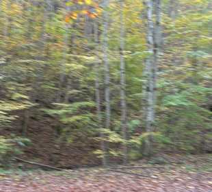 Wandertour "Rund um den Rossberg" Öschingen