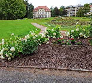 Blick auf das frühere Schloss, heute Klinik